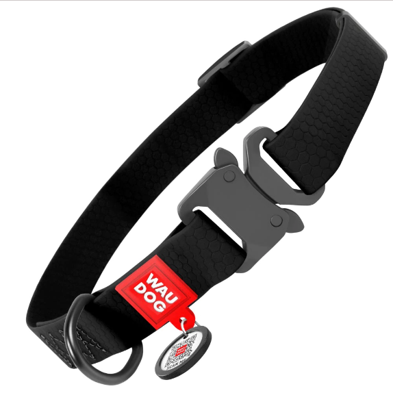Dog collar metal clasp best sale