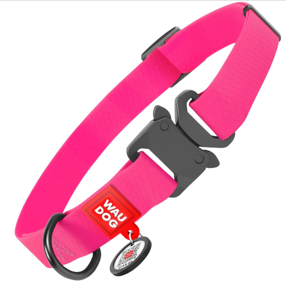 Dog collars best sale with metal clasps
