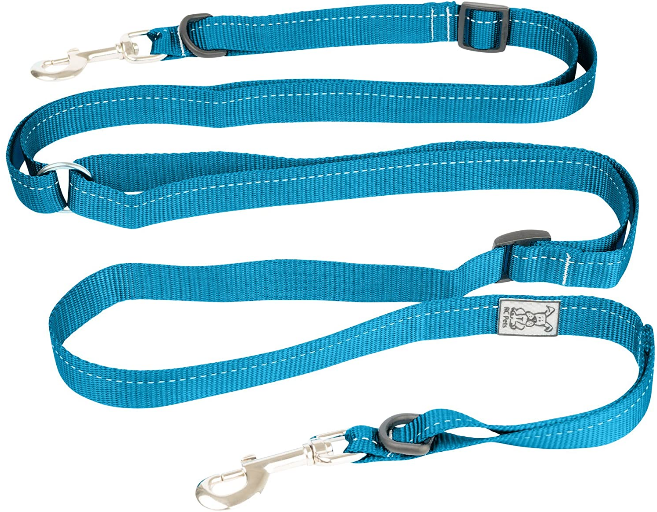 Primary Collection Active Dog Leash (3/4") | RC Pets