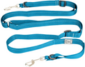 Primary Collection Active Dog Leash (3/4") | RC Pets
