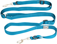 Primary Collection Active Dog Leash (1") | RC Pets