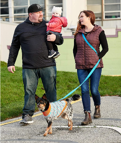 Primary Collection Active Dog Leash (1") | RC Pets