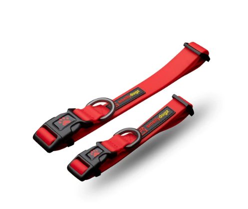 Adjustable Comfort Collar | Smellydogz