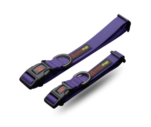 Adjustable Comfort Collar | Smellydogz