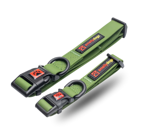Adjustable Comfort Collar | Smellydogz