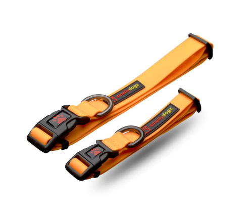 Adjustable Comfort Collar | Smellydogz