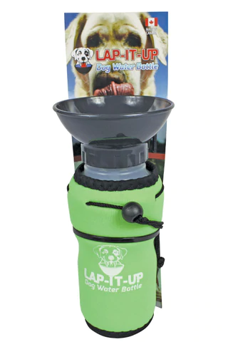 Water Bottle | Lap It Up