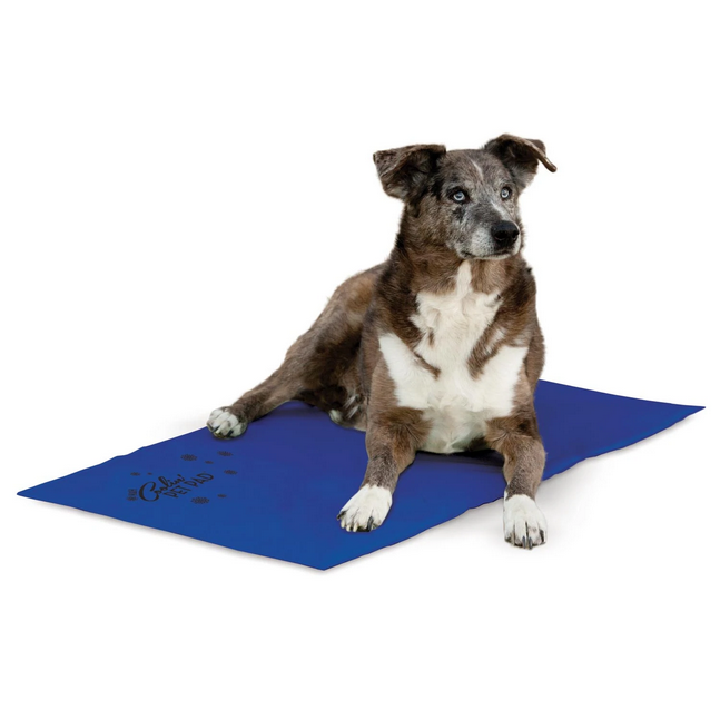 Coolin' Pet Pads | K&H Pet Products