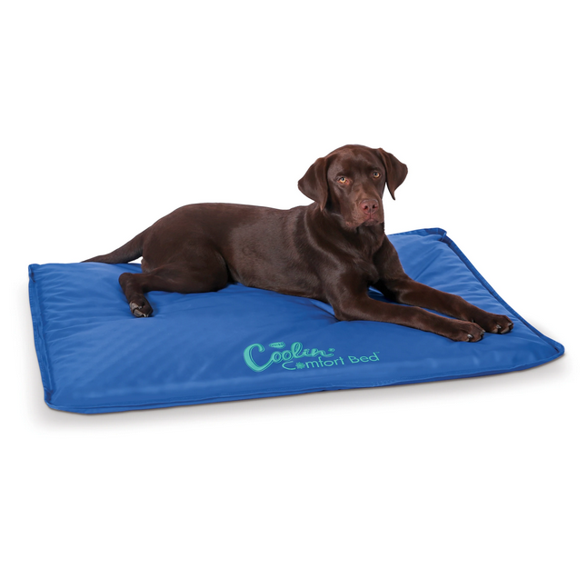 Coolin' Comfort Bed | K&H Pet Products