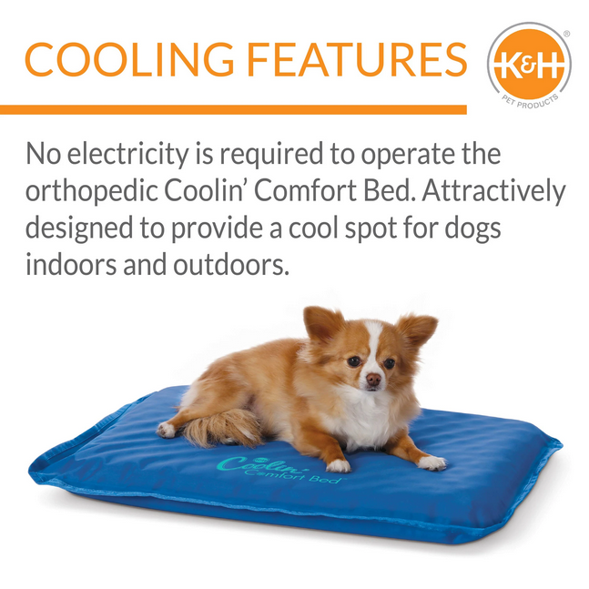 Coolin' Comfort Bed | K&H Pet Products