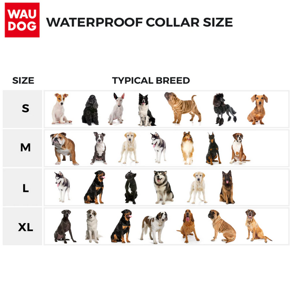 Waterproof Collar With Plastic Buckle (Assorted Colours) | Wau Dog