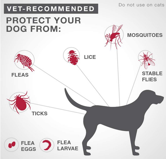 K9 Advantix II Flea & Tick Treatment (Large 21-55 lbs) | Bayer