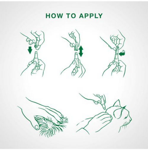 Advantage II Flea Treatment (Kittens <5lbs) | Bayer