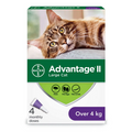 Advantage II Flea Treatment (Large Cat, >8.8lb) | Bayer