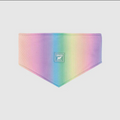 Cooling Bandana (Rainbow) | Canada Pooch