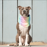 Cooling Bandana (Rainbow) | Canada Pooch