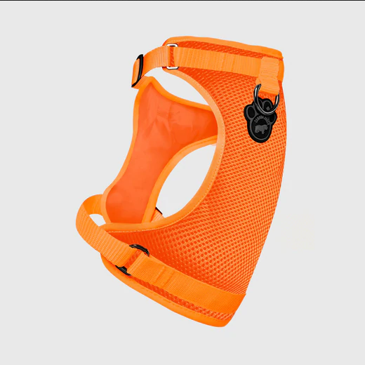 Everything Harness | Canada Pooch