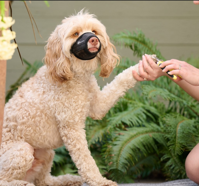 Soft Fit Muzzle | RC Pets