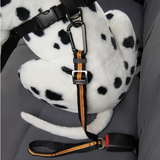 Seat Belt Tether (Orange) | Kurgo