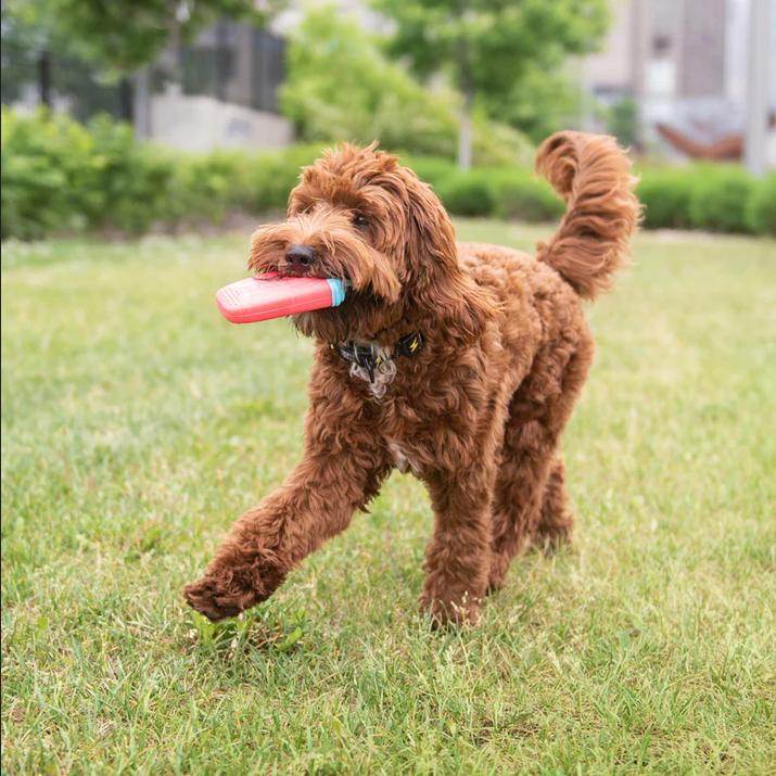 Watermelon Ice Pop Cooling Toy | GF Pet