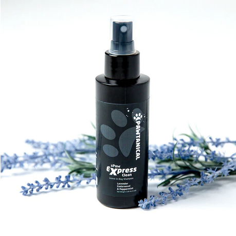 sPaw Express Clean Leave-in Dog Shampoo & Odour Neutralizer | Pawtanical