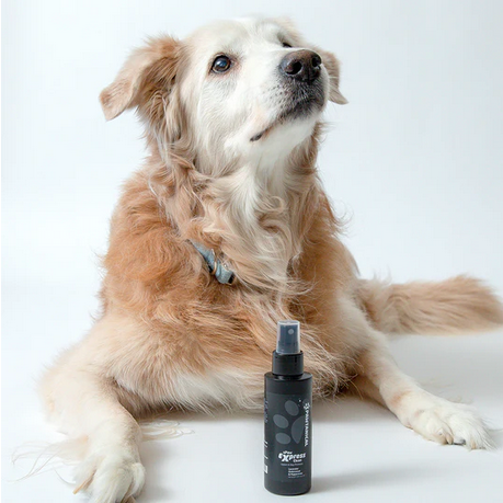 sPaw Express Clean Leave-in Dog Shampoo & Odour Neutralizer | Pawtanical