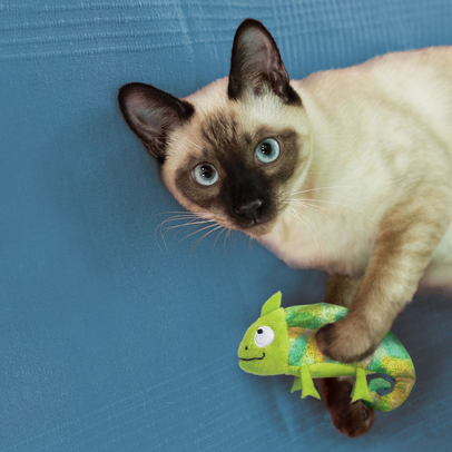 Refillables Chameleon Catnip Toy | KONG