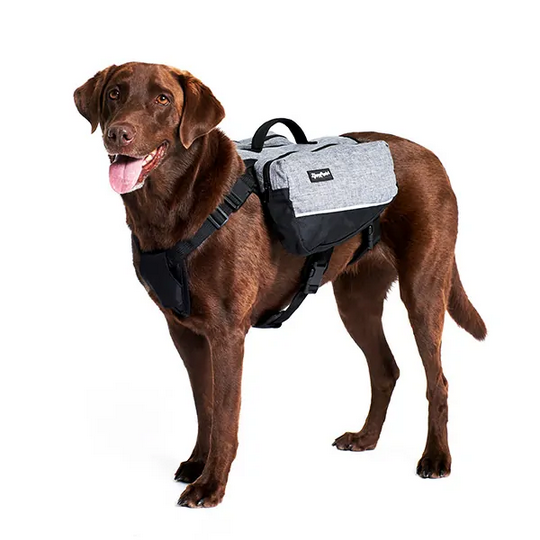 Adventure Backpack (Graphite) | Zippy Paws