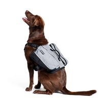 Adventure Backpack (Graphite) | Zippy Paws