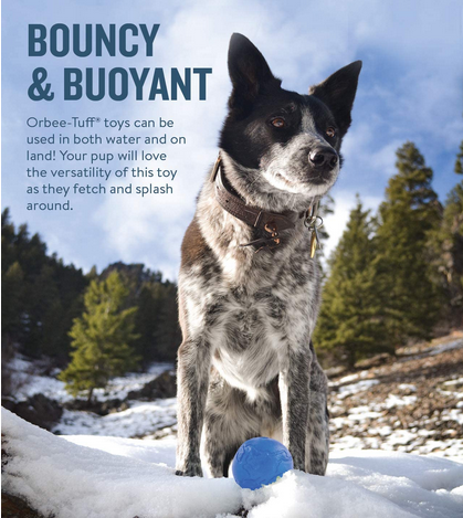 Blue Earth Ball (Small) | Planet Dog