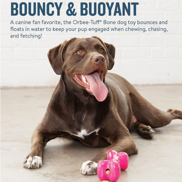 Pink Bone (Large) | Planet Dog