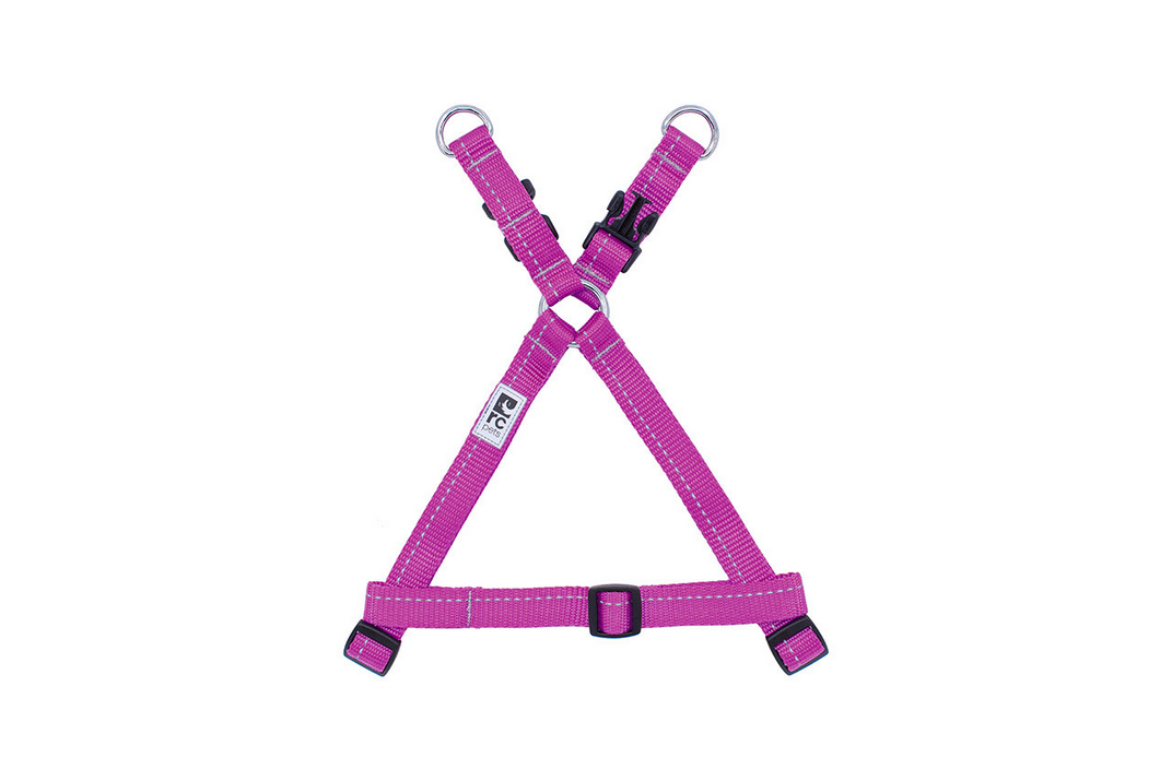 Primary Step-In Harness (XSmall) | RC Pets