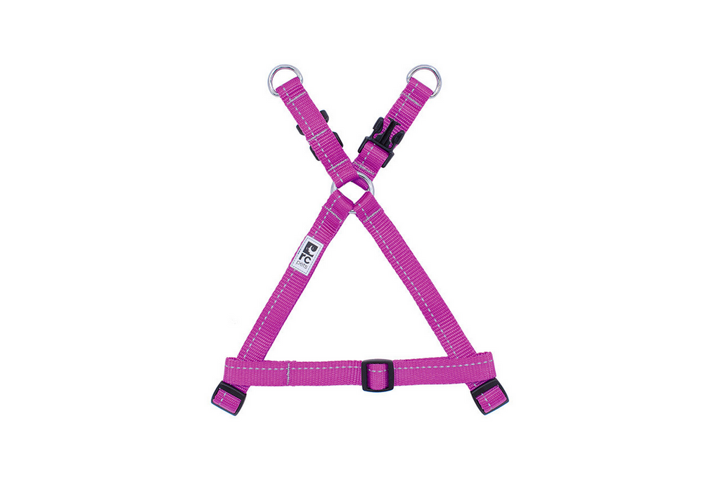 Primary Step-In Harness (Large) | RC Pets