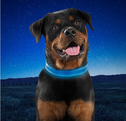 Rechargeable LED Collar (Blue) | Nite Ize