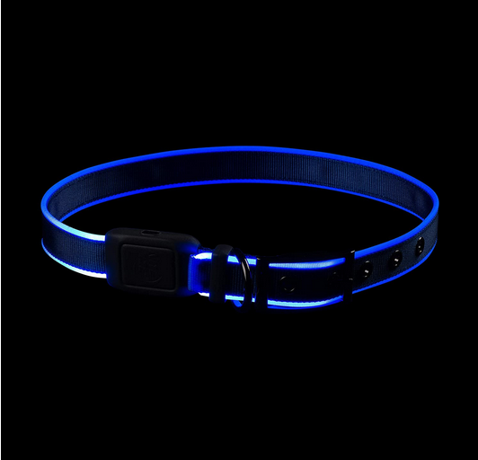 Rechargeable LED Collar (Blue) | Nite Ize