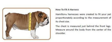 Adjustable Step-In Harness (Sky Blue, 10"-16") | Hamilton