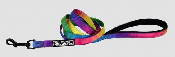 Rainbow Padded Leash (1") | Hamilton
