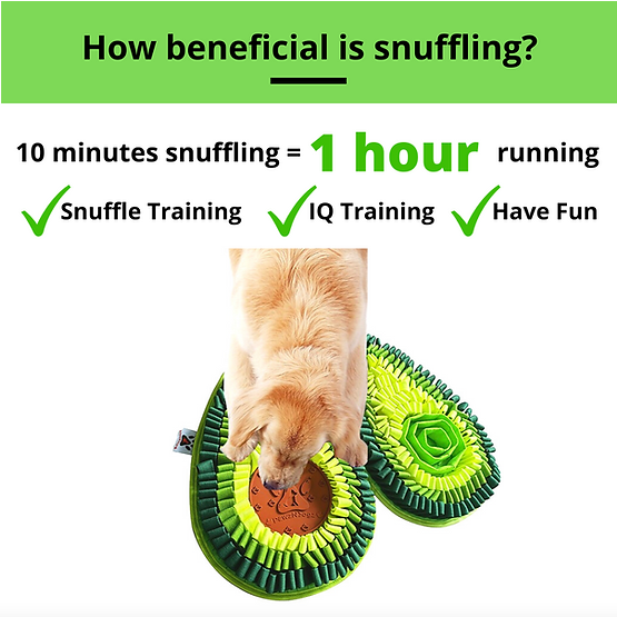 Delicious Avocado Snuffle Mat | PawzNDogz