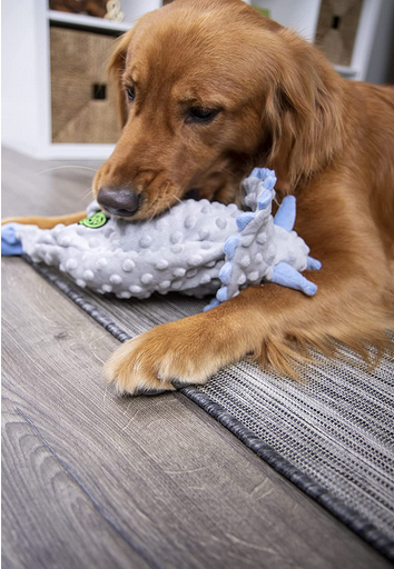 Frills Dino (Large, Grey) | goDog