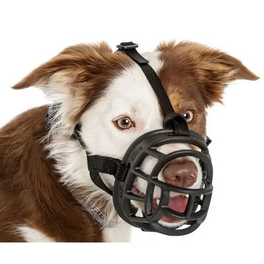 Baskerville Ultra Muzzle | Company Of Animals