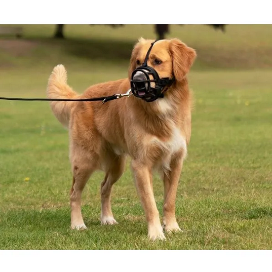 Baskerville Ultra Muzzle | Company Of Animals