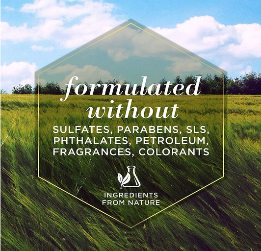 Oatmeal Shampoo (Dogs) | Burt's Bees