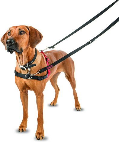Halti Front Control Harness | Company Of Animals