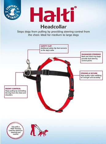 Halti Front Control Harness | Company Of Animals