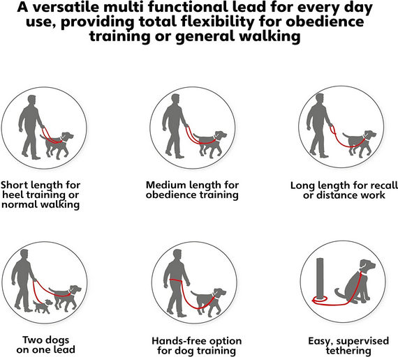 Halti Training Lead | Company Of Animals