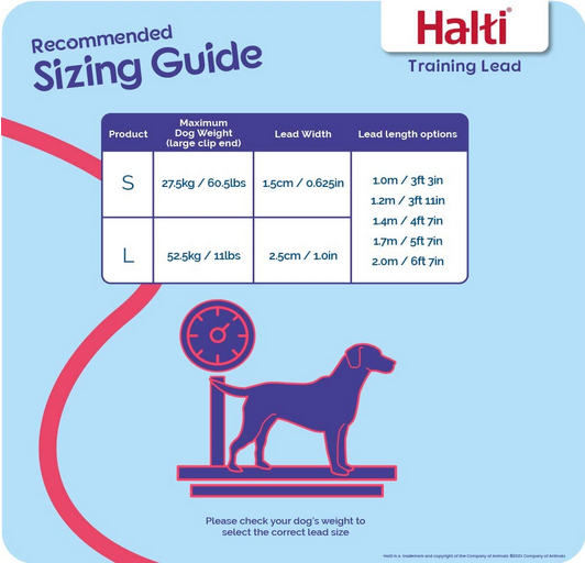 Halti Training Lead | Company Of Animals