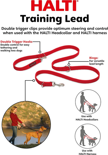 Halti Training Lead | Company Of Animals
