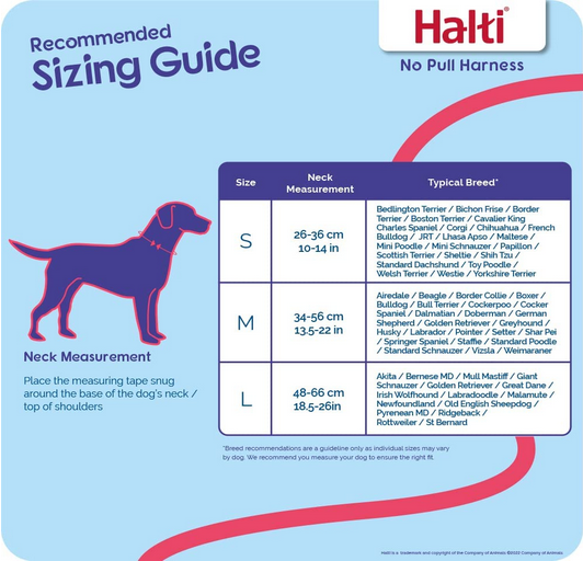 Halti No-Pull Harness | Company Of Animals