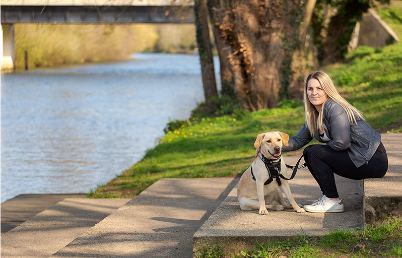 Halti No-Pull Harness | Company Of Animals