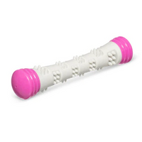 Chew n' Squeak Stick (Small, Pink) | Totally Pooched